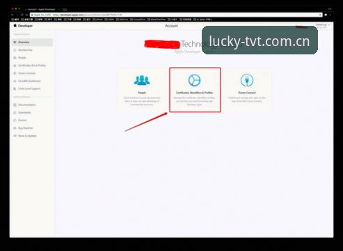 TVT体育平台iOS端安装包使用教程：从英文化到数据对比的完整操作指南